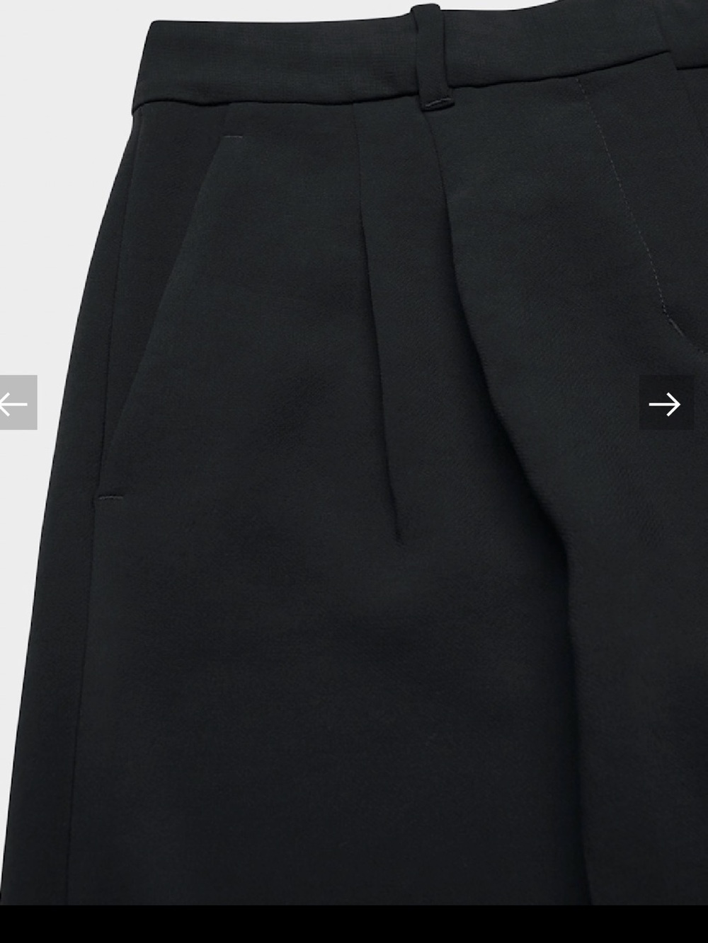 Aritzia Wide-Leg Pleated Pants in black - Picture 8 of 16
